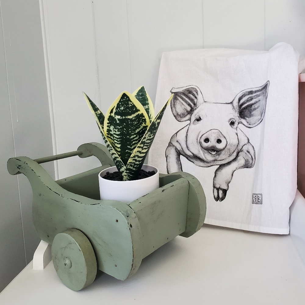Vintage shabby chic garden decor green mini wheelbarrow, fair condition